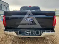 2025 Ford F-150 фото