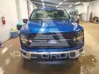 2025 Ford F-150 фото