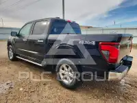 2025 Ford F-150 фото