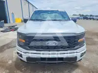 2025 Ford F-150 фото