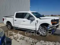 2025 Ford F-150 фото