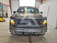 2025 Ford F-150 фото