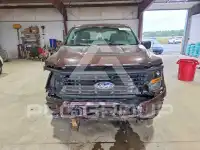 2025 Ford F-150 фото