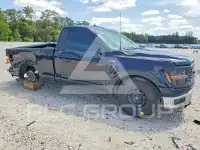 2025 Ford F-150 фото