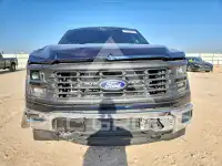 2025 Ford F-150 фото
