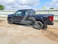 2025 Ford F-150 фото