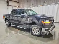 2025 Ford F-150 фото