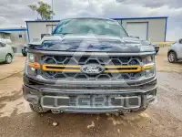 2025 Ford F-150 фото