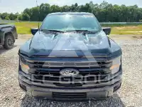 2025 Ford F-150 фото