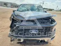 2025 Ford F-150 фото