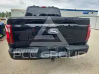 2025 Ford F-150 фото