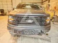 2025 Ford F-150 фото