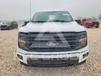 2025 Ford F-150 фото