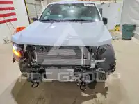 2025 Ford F-150 фото