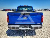2025 Ford F-150 фото