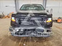 2025 Ford F-150 фото