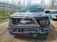 2025 Ford F-150 фото