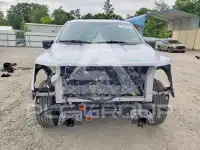 2025 Ford F-150 фото