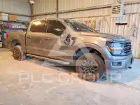 2025 Ford F-150 фото