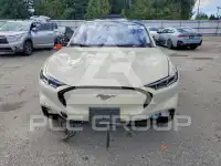 2025 Ford MUSTANG фото