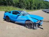 2025 Ford MUSTANG фото
