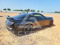 2025 Ford MUSTANG photo