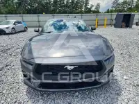 2025 Ford MUSTANG photo