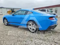 2025 Ford MUSTANG photo