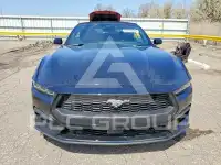 2025 Ford MUSTANG фото