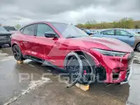 2025 Ford MUSTANG фото