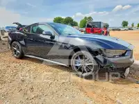 2025 Ford MUSTANG фото
