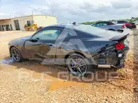 2025 Ford MUSTANG фото