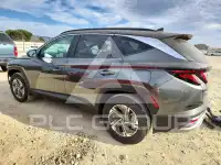 2025 Hyundai Tucson photo