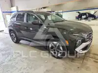 2025 Hyundai Tucson photo