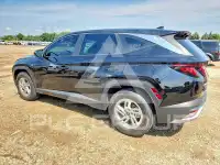 2025 Hyundai Tucson photo