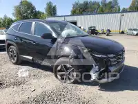 2025 Hyundai Tucson photo
