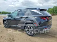 2025 Hyundai Tucson photo