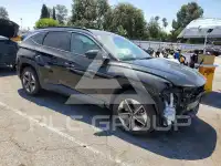 2025 Hyundai Tucson photo