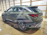 2025 Hyundai Tucson photo
