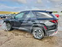 2025 Hyundai Tucson photo