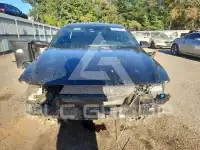 2025 Hyundai Elantra фото