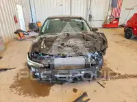2025 Hyundai Elantra photo