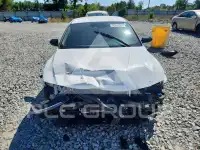 2025 Hyundai Elantra фото