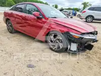2025 Hyundai Elantra photo