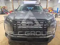2025 Hyundai Palisade photo