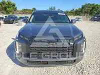 2025 Hyundai Palisade фото
