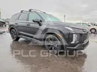 2025 Hyundai Palisade фото