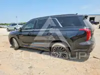 2025 Hyundai Palisade фото