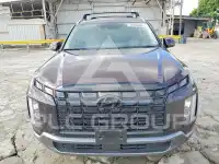 2025 Hyundai Palisade фото
