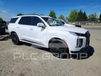 2025 Hyundai Palisade фото